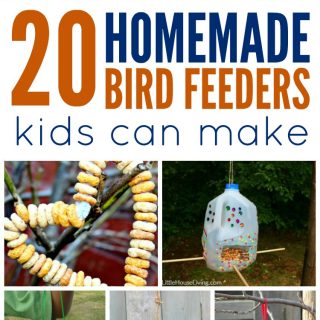 Homemade Bird Feeders Kids Can Make